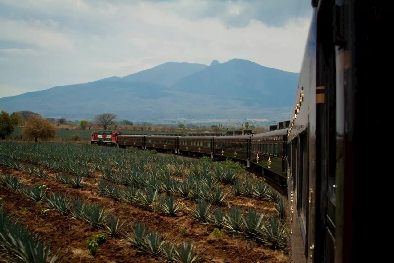 Trenes temáticos: Tequila Express vs. José Cuervo Express