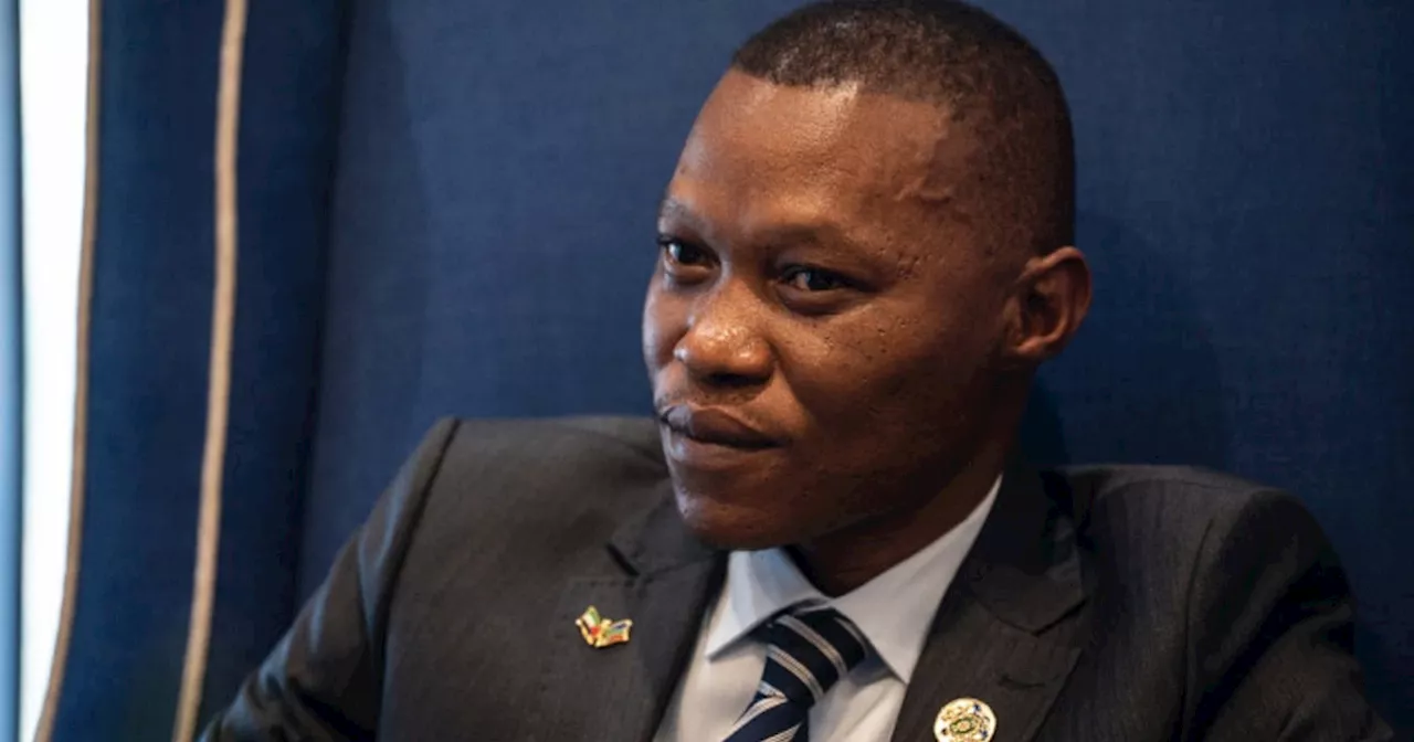 Ex-Joburg Mayor Gwamanda fired as MMC following fraud allegations against him