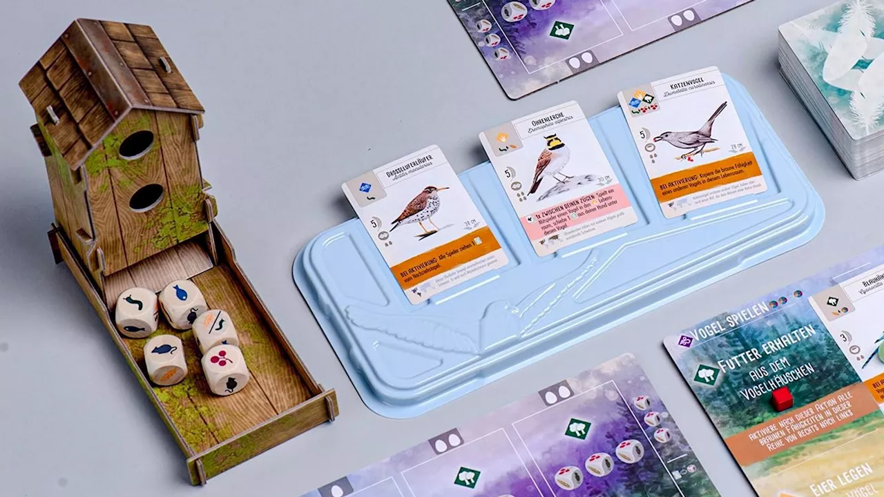 Kennspiel des Jahres 2019: Angehende Vogelbeobachter holen sich dieses Brettspiel reduziert