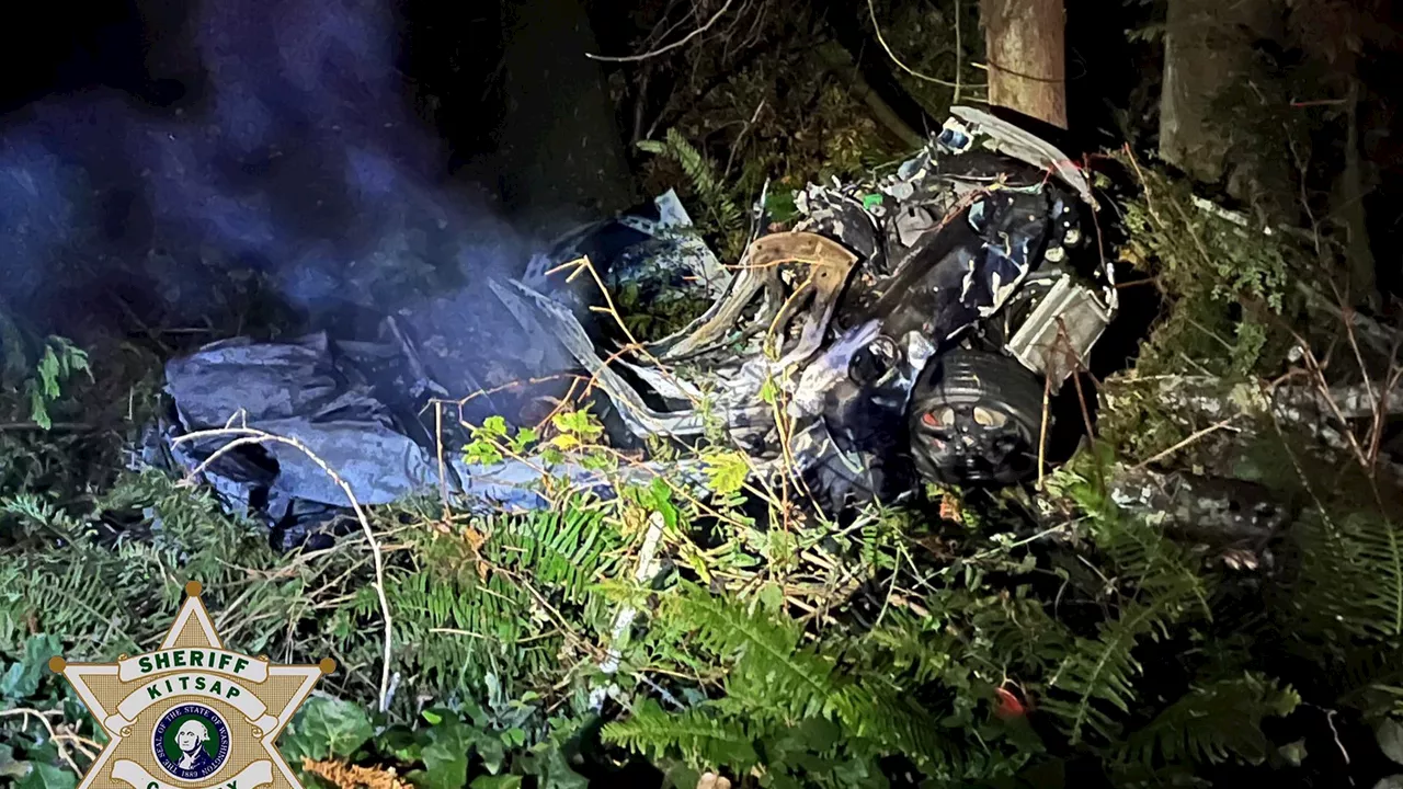 2 people, 1 dog dead in fiery Kitsap County, WA crash