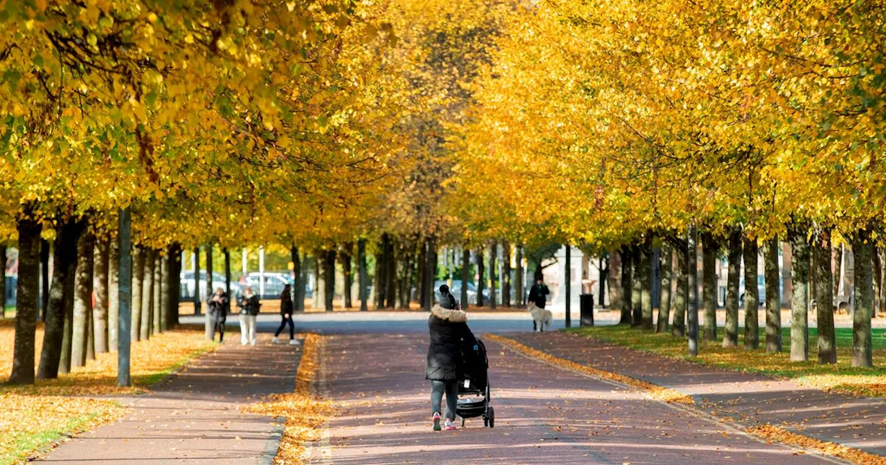 Glasgow dad suffers 'horrific' wounds after savage dog attack while jogging in busy park