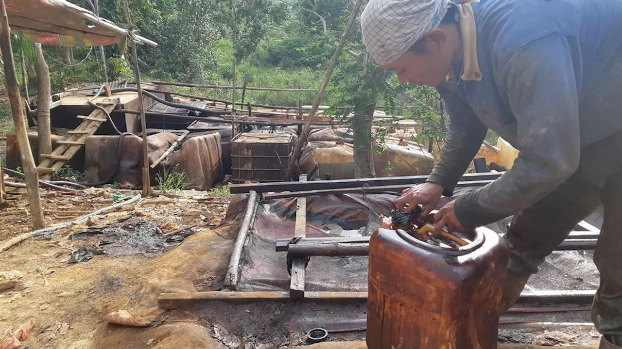 Polda Jambi Selidiki Aliran Minyak Ilegal dari Hutan Harapan