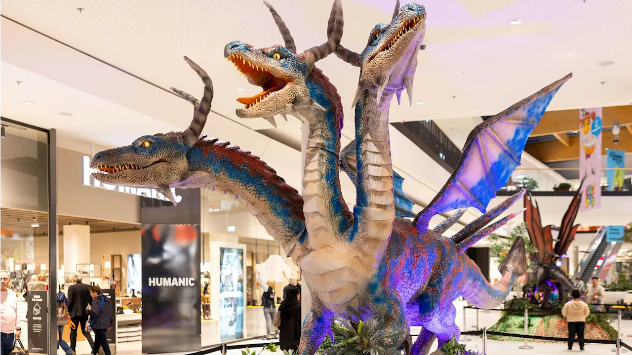 Drachen-Alarm! Ausstellung begeistert Fantasy-Fans