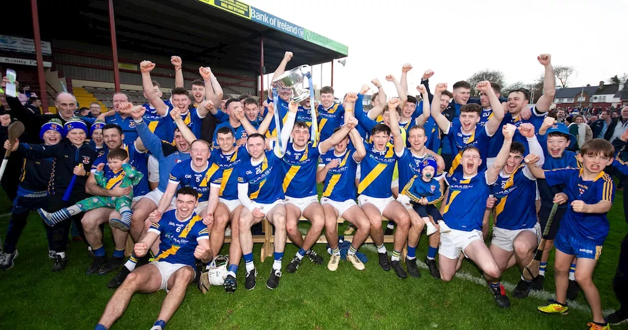 Galway SHC Final Loughrea end Cappataggle run to secure third hurling