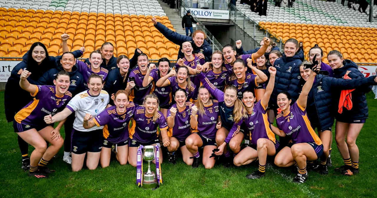 Kilmacud Crokes sweep past Eadestown to claim third Leinster title in a row