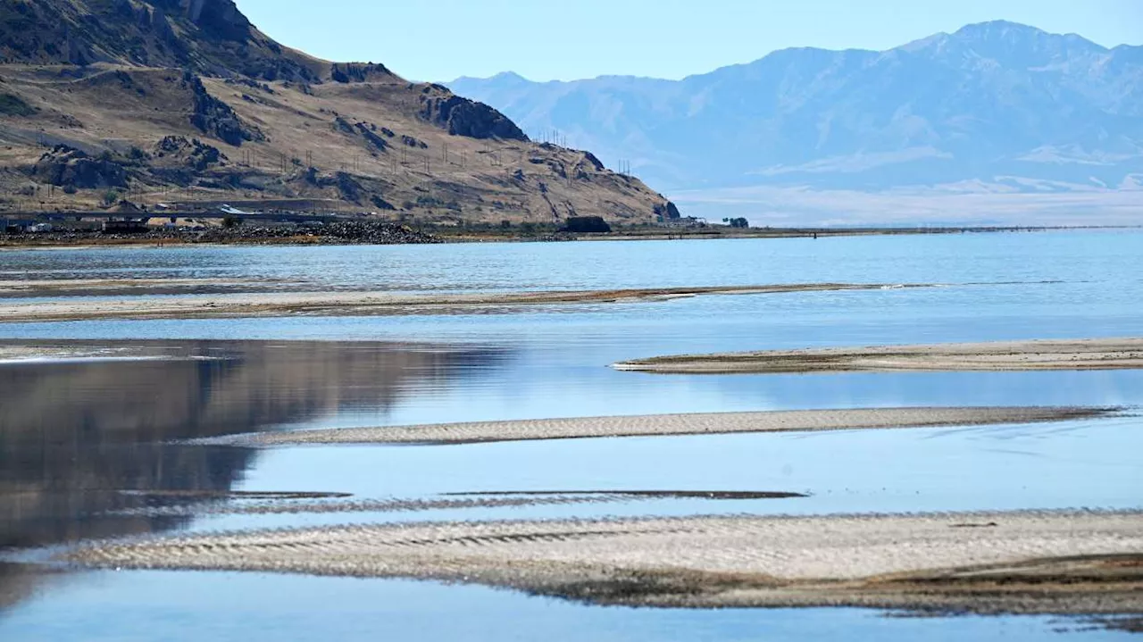 New life, new money for the critical Great Salt Lake shoreline