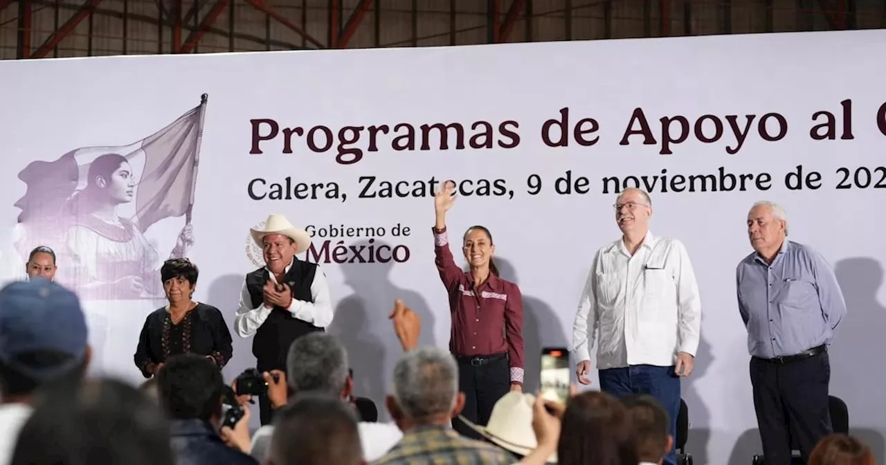 Sheinbaum impulsa producción de frijol con programas de apoyo al campo en Zacatecas