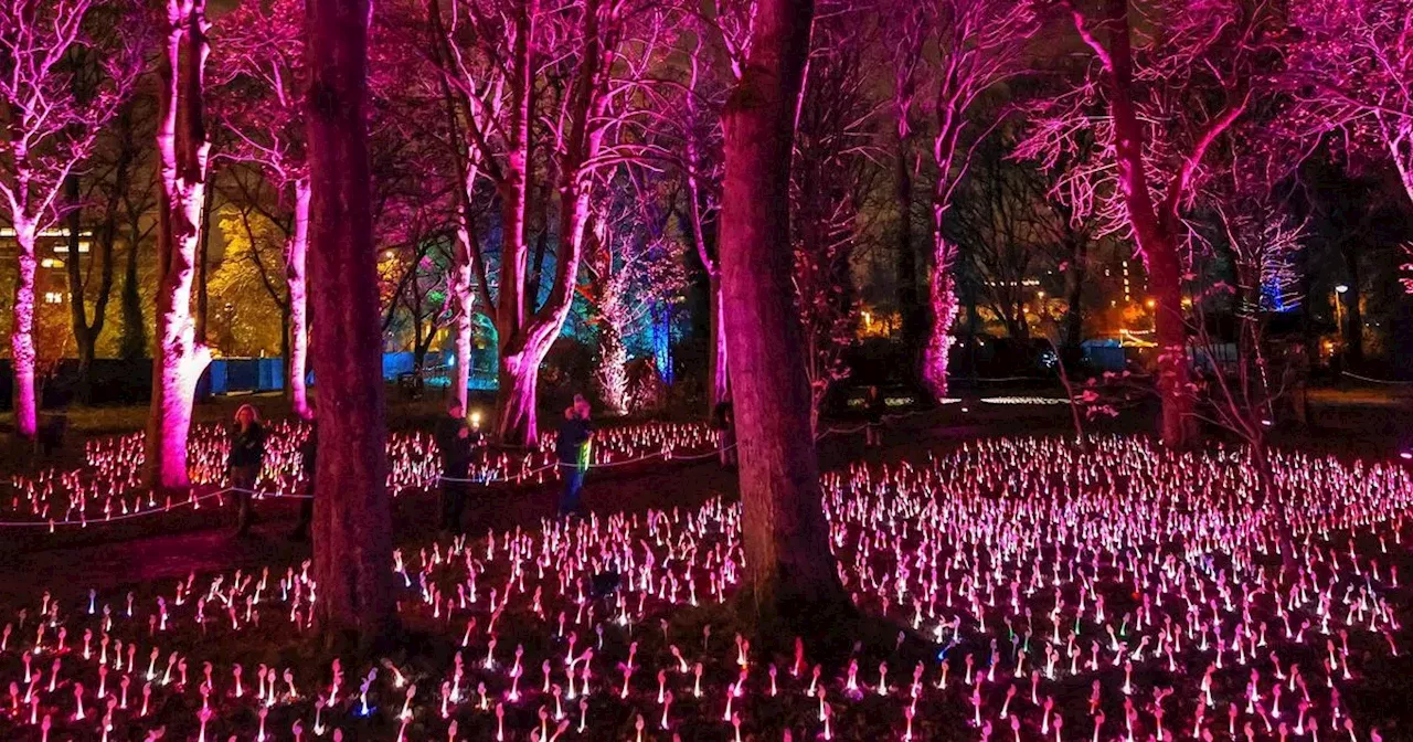 Northern Lights at Temple Newsam trail launch date, map and ticket info