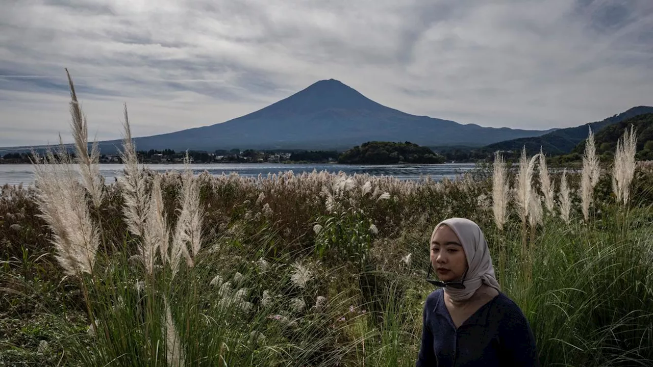 Jalur Kereta Ringan Akan Dibangun di Gunung Fuji, Bisa Angkut 3 Jutaan Wisatawan per Tahun