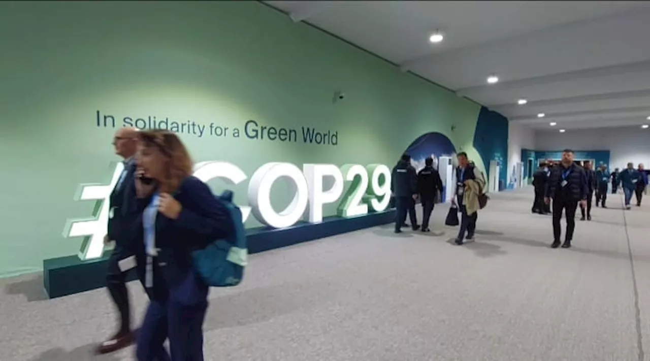 COP29 Momen Penting Indonesia Tunjukkan Komitmen Masa Depan Energi Terbarukan