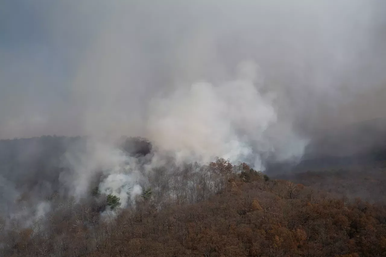 NJ Fire Spreads Into NY, Where Forest Ranger Dies Fighting Blaze - New ...