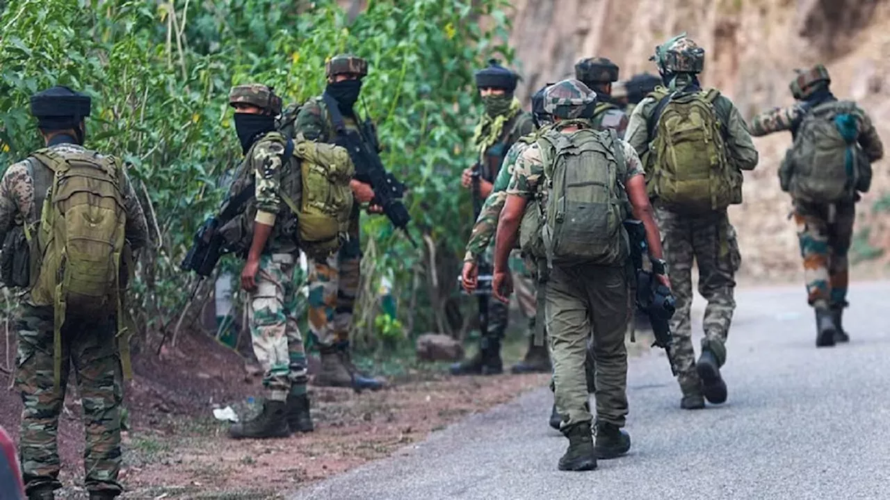 J&K Encounter: श्रीनगर के वन क्षेत्र में सुरक्षा बलों और आतंकियों के बीच मुठभेड़, सर्च ऑपरेशन जारी