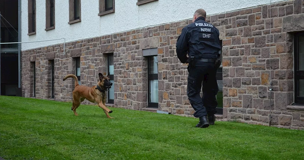 Polizeiarbeit auf vier Pfoten: Iceman wird Polizeihund im Kreis Höxter