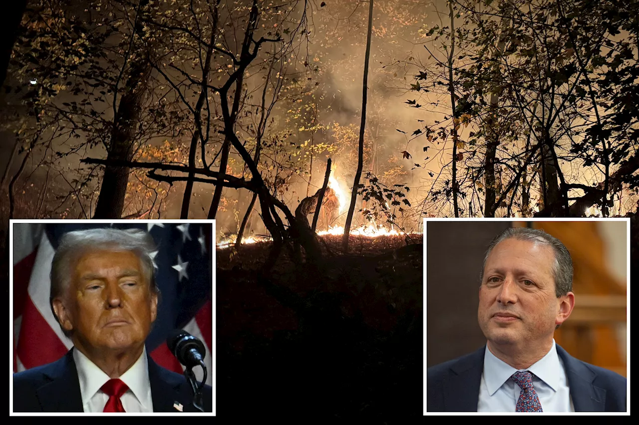 Lefty NYC Comptroller Brad Lander blames Trump for Prospect Park fire