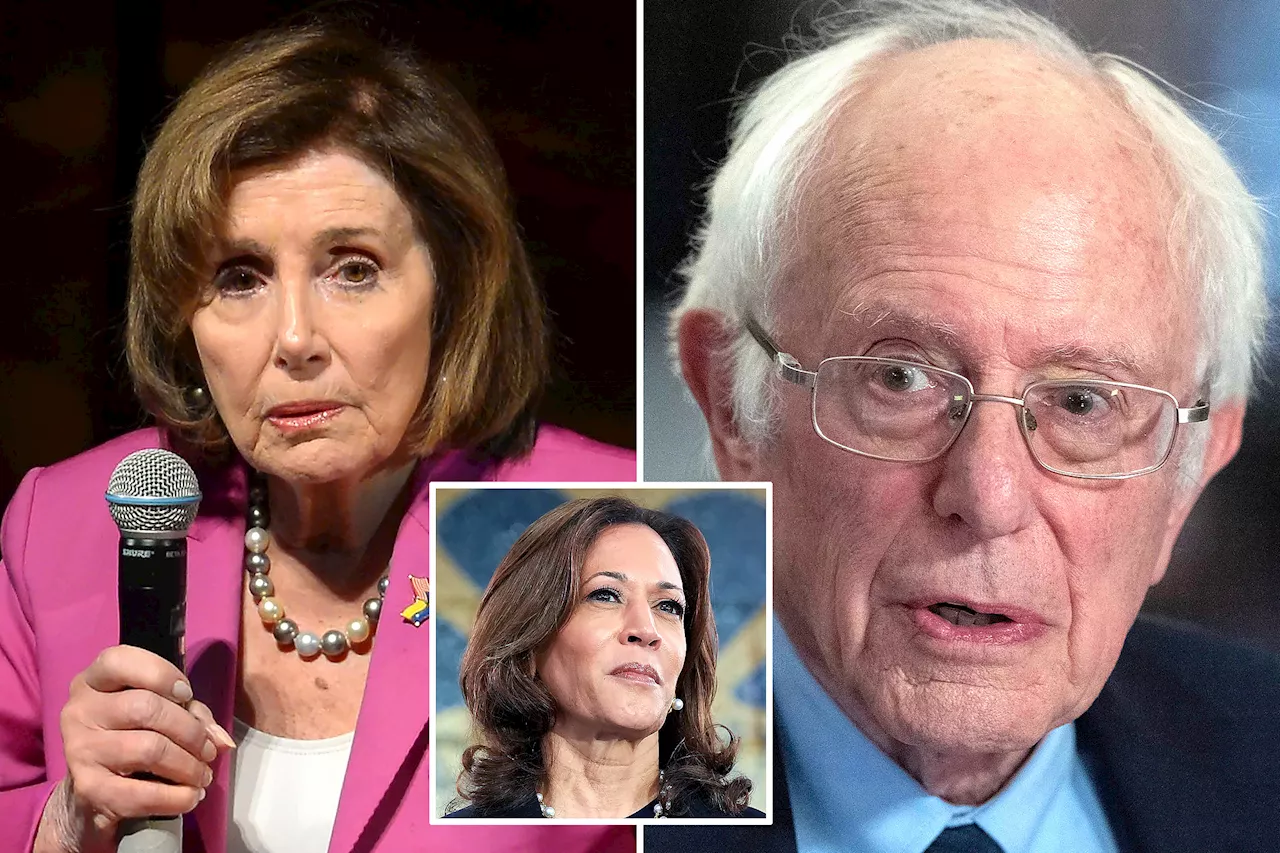 Nancy Pelosi tears into Bernie Sanders for claiming Democrats 'abandoned' working class amid Harris election loss: 'I don’t respect him saying that'