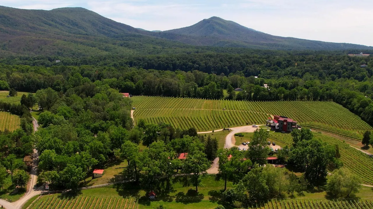 Shenandoah Valley Wine Trail awards competition trophy to white blend