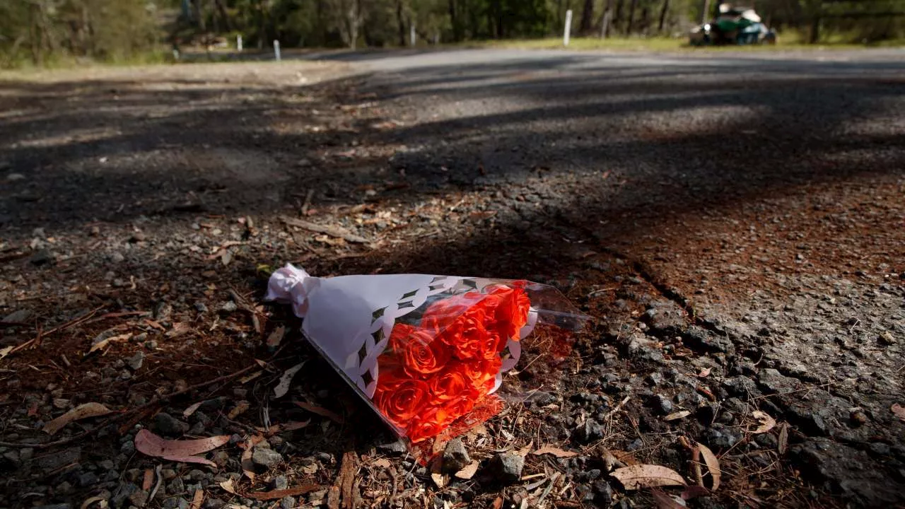 New details emerge after teen allegedly murdered in bushland by chef