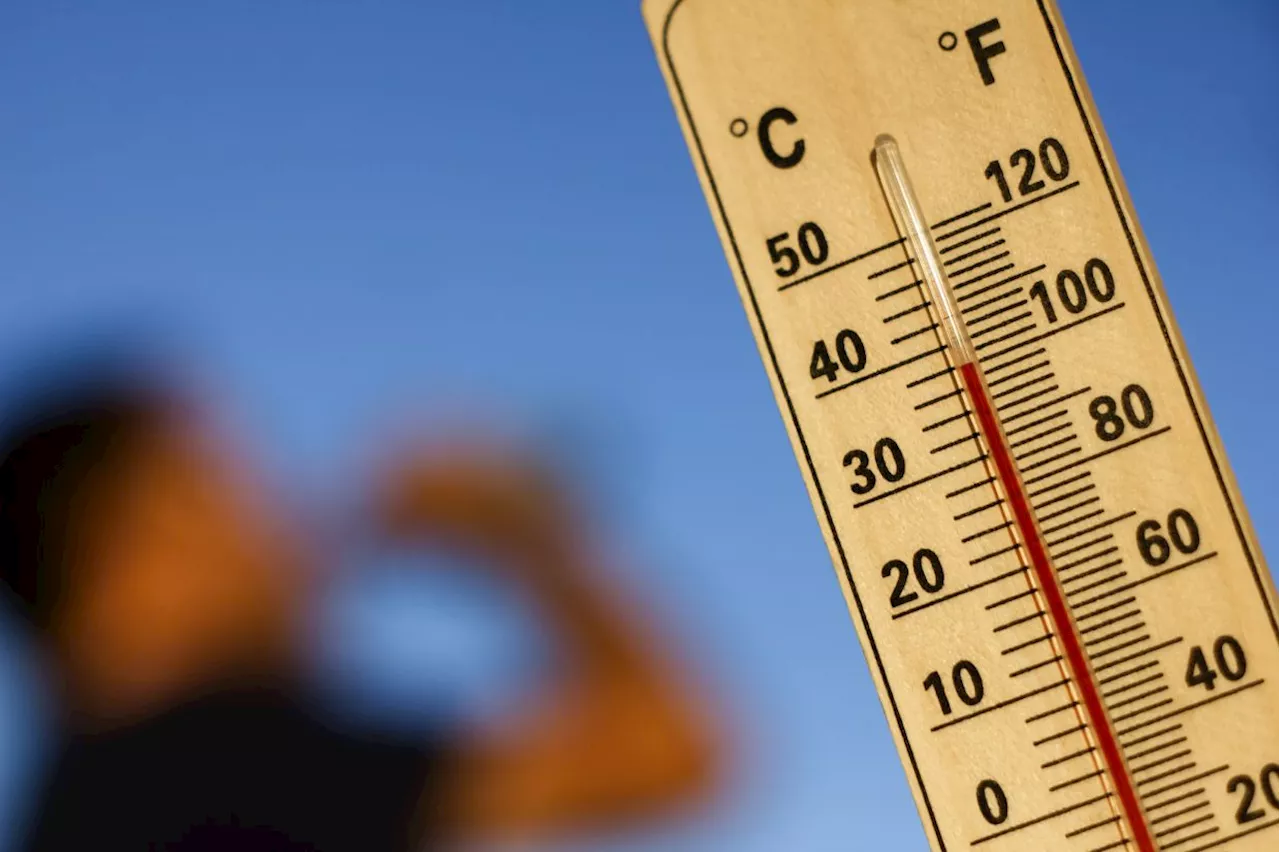 2024 'virtually certain' to be hottest year on record: EU monitor