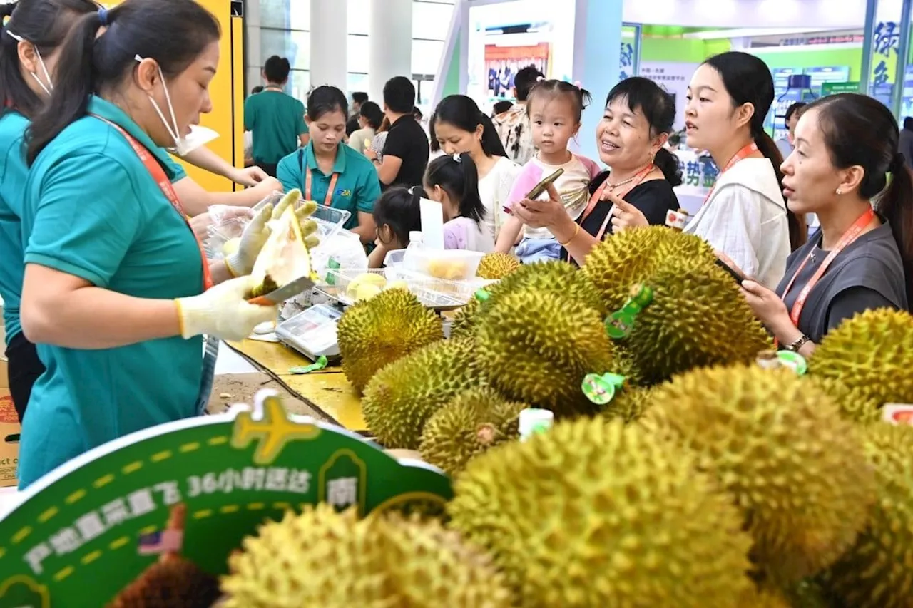 Southeast Asian durian growers shrug off threat of Chinese competition