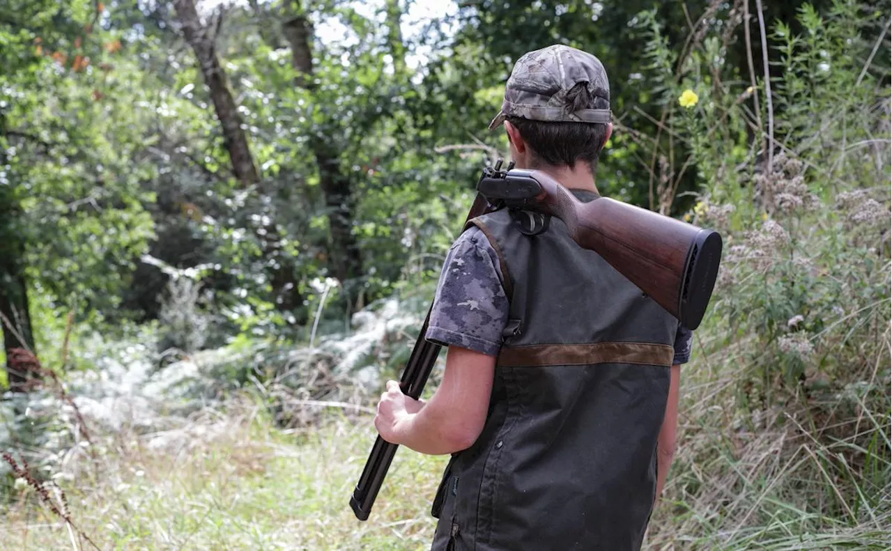 Un cheval de compétition abattu par des chasseurs sur une propriété privée