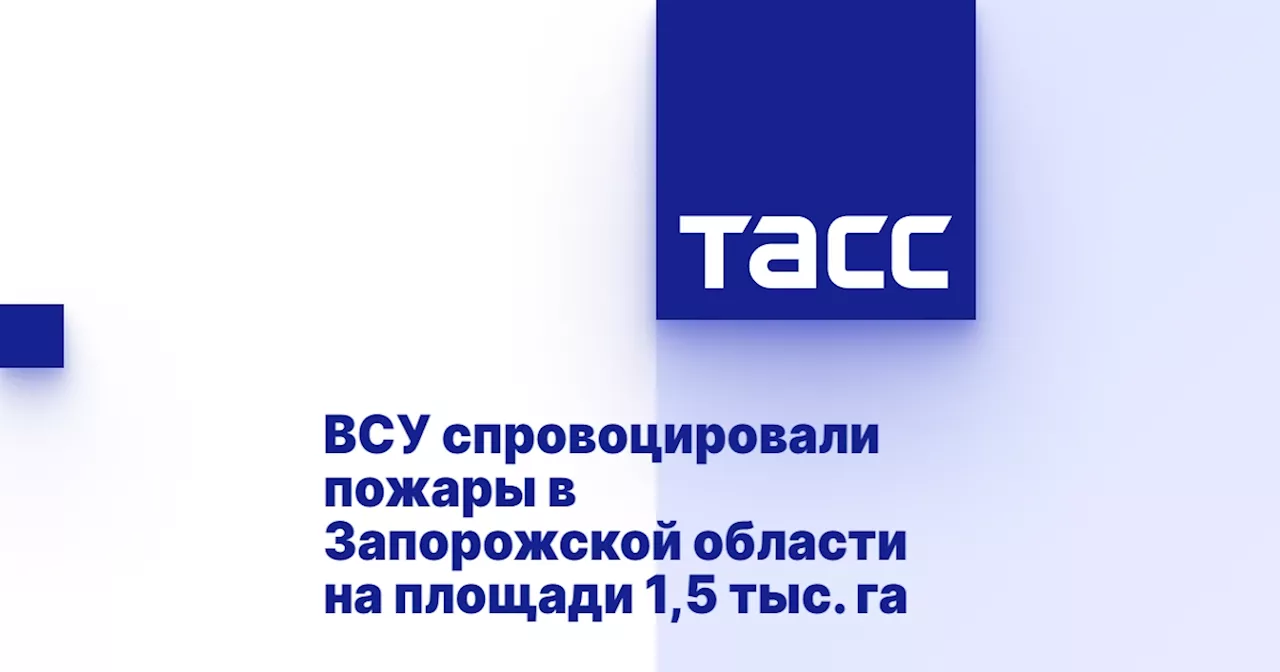 ВСУ спровоцировали пожары в Запорожской области на площади 1,5 тыс. га