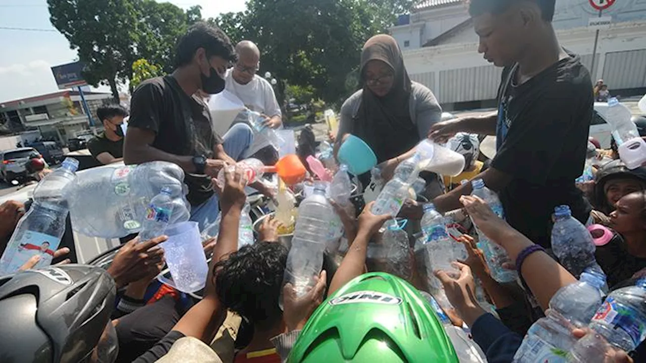 Aksi Bagi dan Mandi Susu Gratis Sapi Peternak Sapi Perah di Boyolali