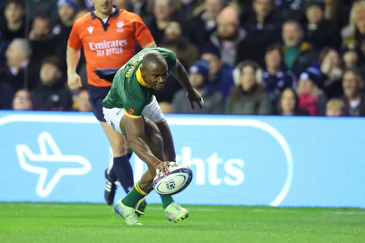 Springboks made to work hard for win over Scotland