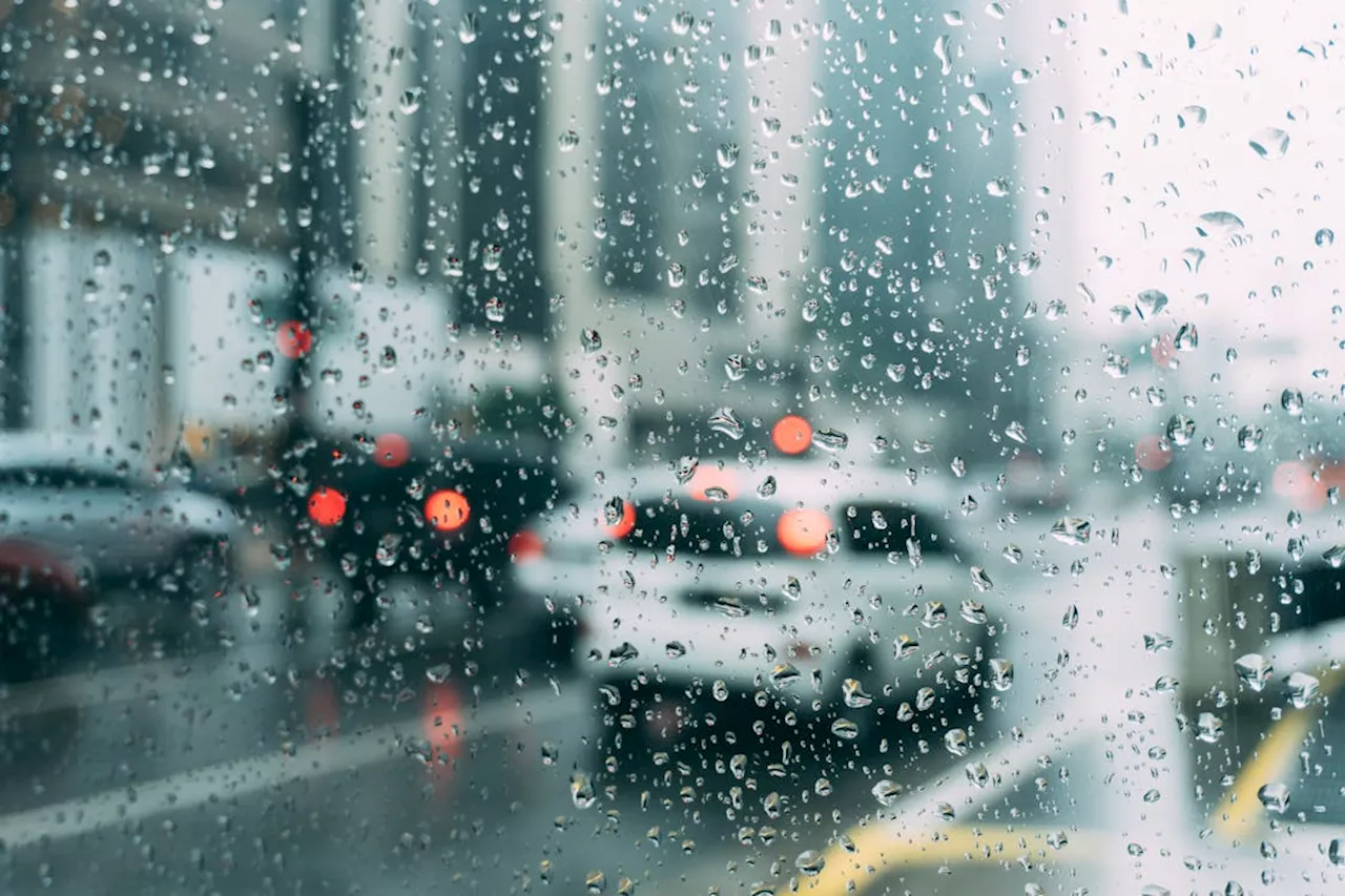 Weather: More rainfall and thunderstorms predicted in Gauteng on Monday