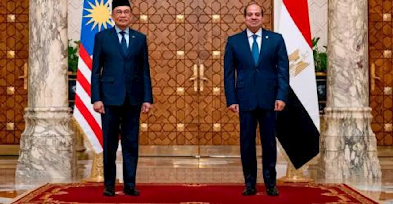 Anwar makes courtesy call on President El-Sisi in Cairo