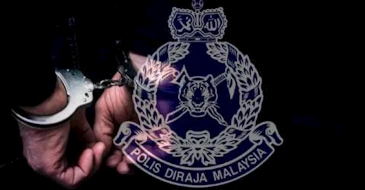 Two nabbed for smuggling boxes of grocery items worth over RM100,000