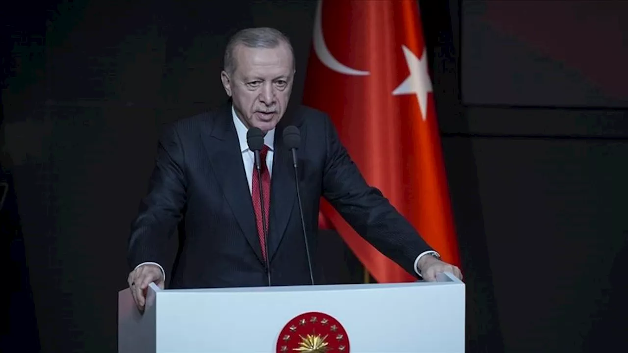 Türkiye cannot stand idle amid changes in global system — President Erdogan