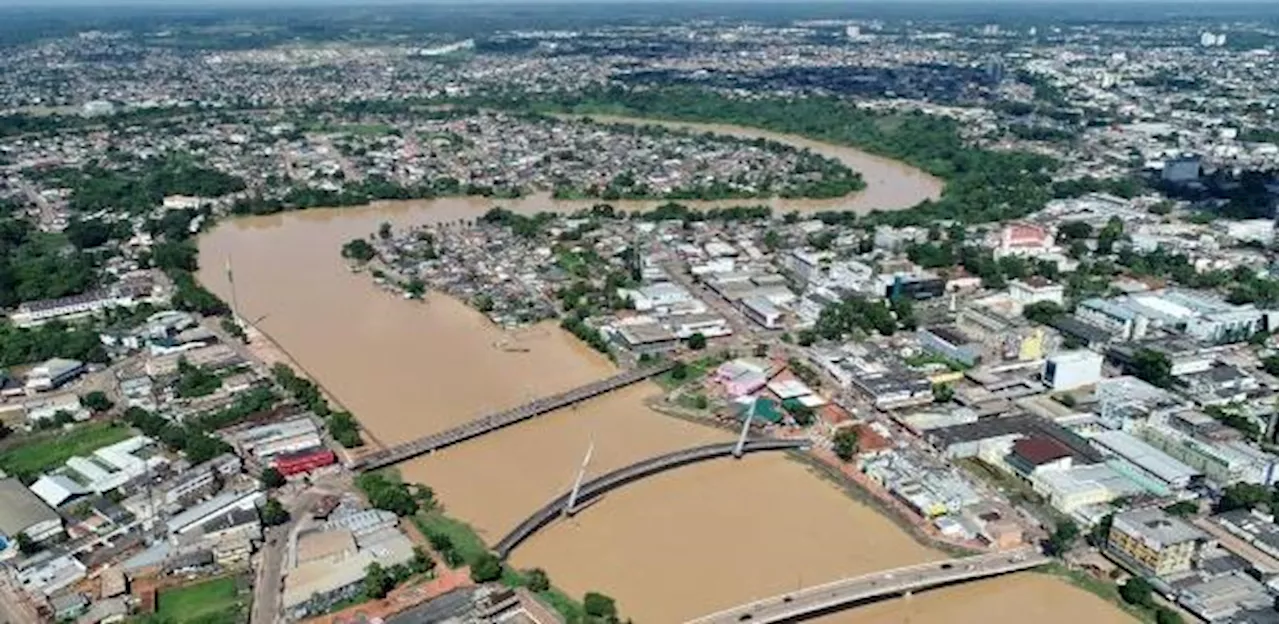 Rio Branco mais, Natal menos: veja ranking de vegetação urbana das capitais