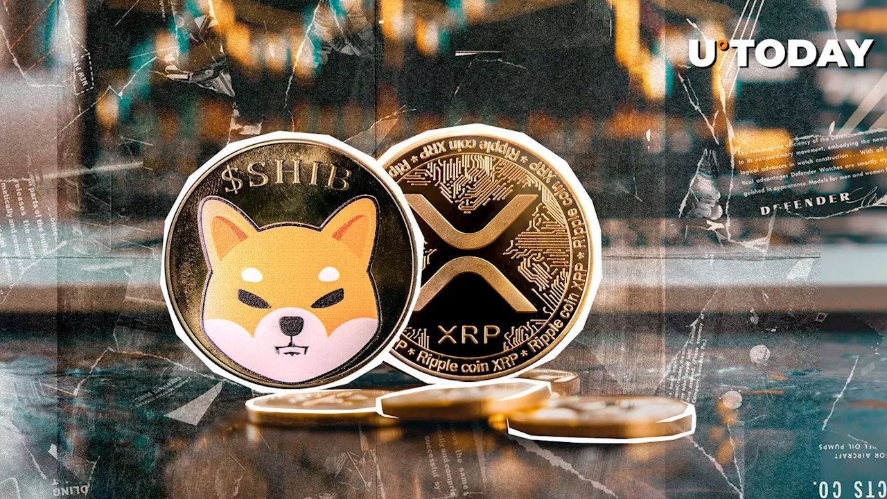 SHIB Outshines XRP: 20% Rally Leaves XRP's 4% Gain in Dust