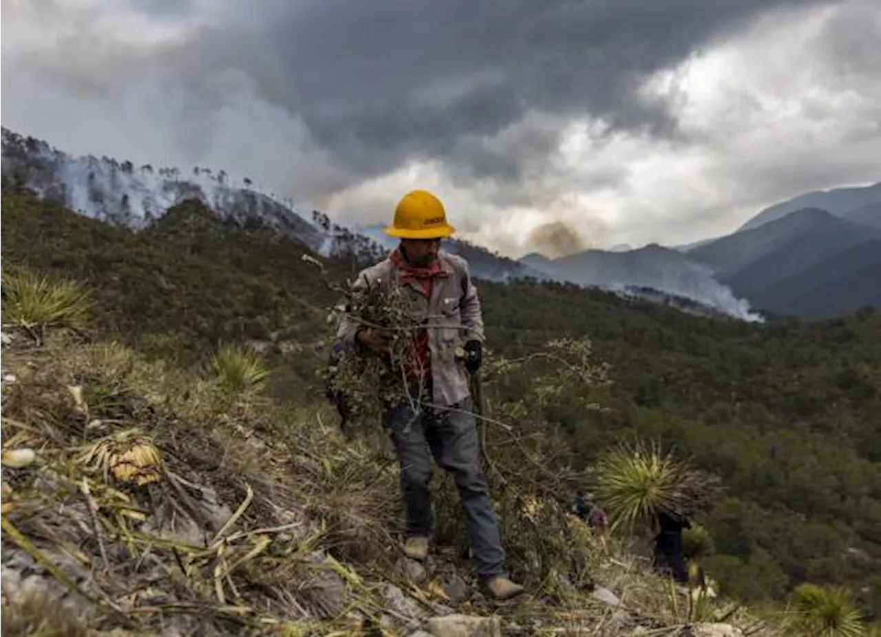 Aportará Home Depot para combate de incendios en la Sierra de Arteaga