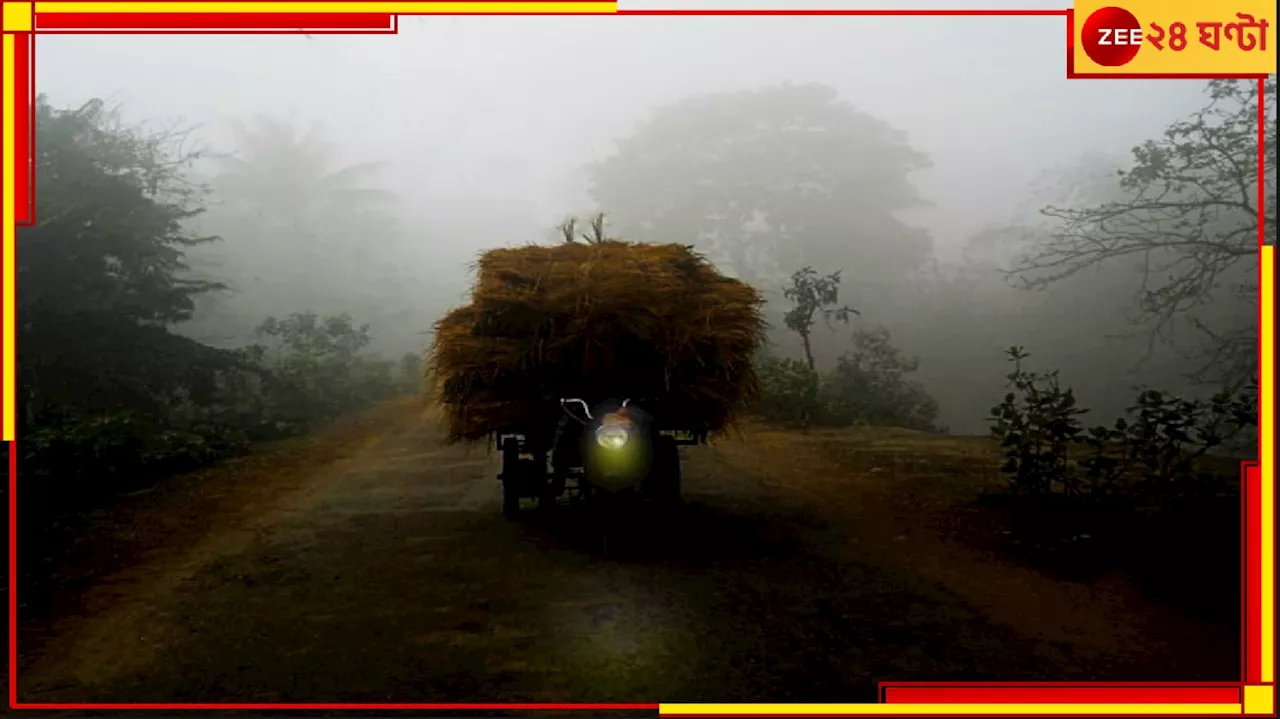 Bengal Weather Update: এবার রাজ্য জুড়ে শীতের আমেজ! হাওয়াবদল কবে থেকে?