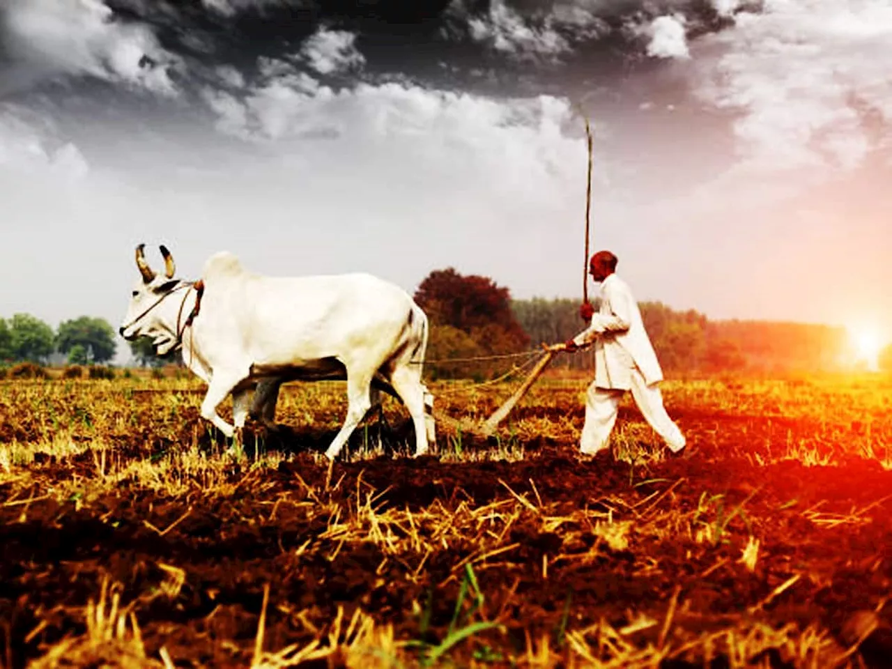 Farming Techniques : ખેતી, પશુપાલન અને મત્સ્યઉછેરથી તગડી કમાણી માટે અપનાવો આ 5 નવી ટેકનીક