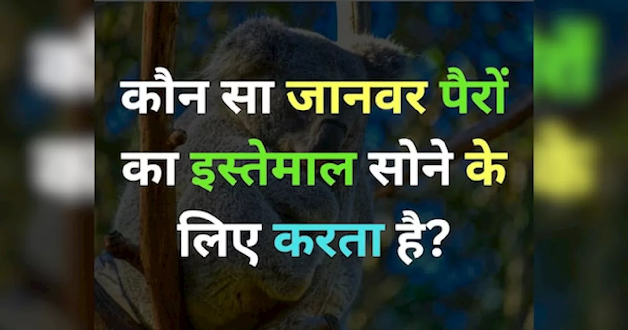 GK Quiz: कौन सा जानवर पैरों का इस्तेमाल सोने के लिए करता है?