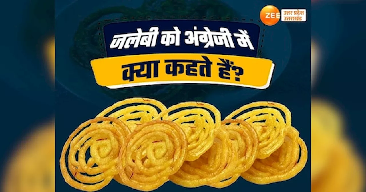 Jalebi name in English: जलेबी को अंग्रेजी में क्या कहते हैं...बड़े-बड़े सूरमा भी नहीं जानते होंगे