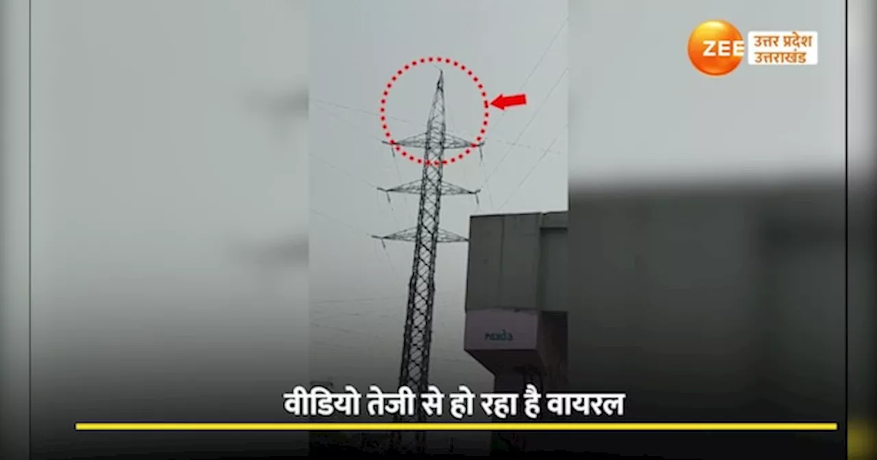 Noida Video: हाईवोल्टेज तारों वाले खंभे पर चढ़ गया युवक, जिंदगी और मौत के बीच झूला