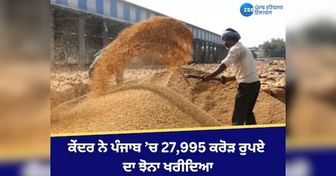 Paddy Season Punjab: ਕੇਂਦਰ ਨੇ ਪੰਜਾਬ ’ਚ 27,995 ਕਰੋੜ ਰੁਪਏ ਦਾ ਝੋਨਾ ਖਰੀਦਿਆ