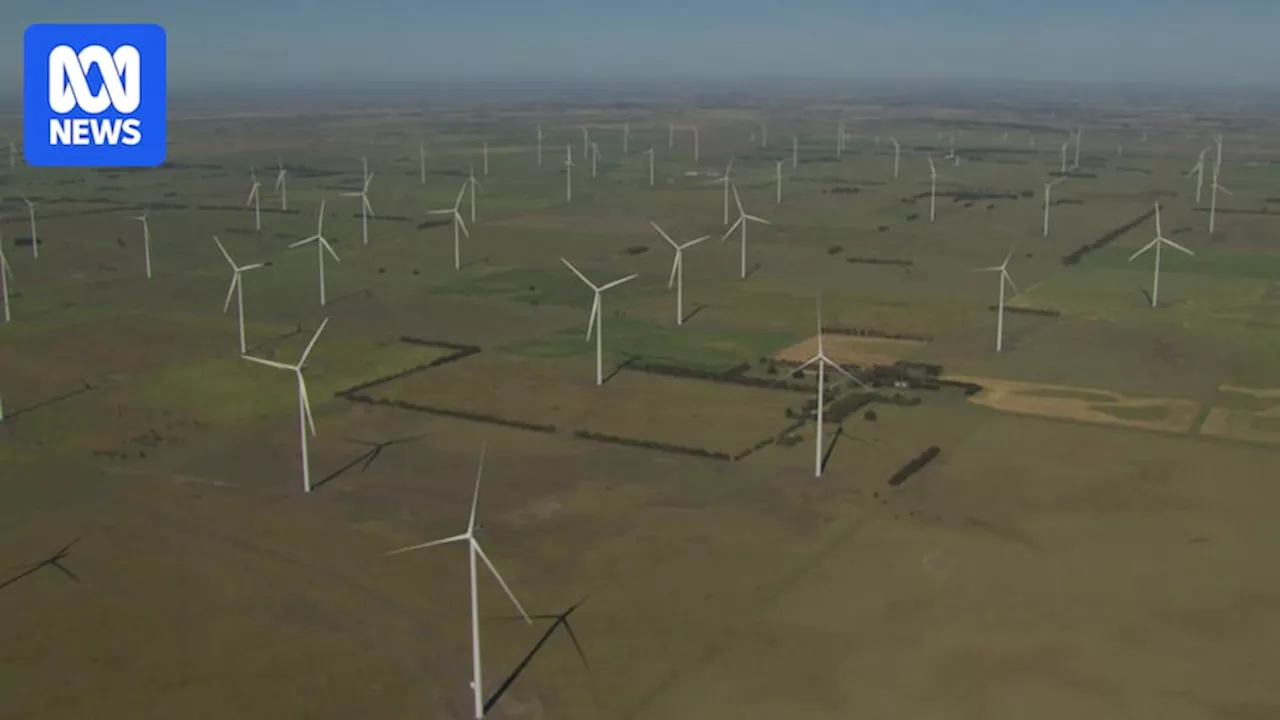 Investigation underway at Golden Plains Wind Farm after man fatally crushed by turbine blade