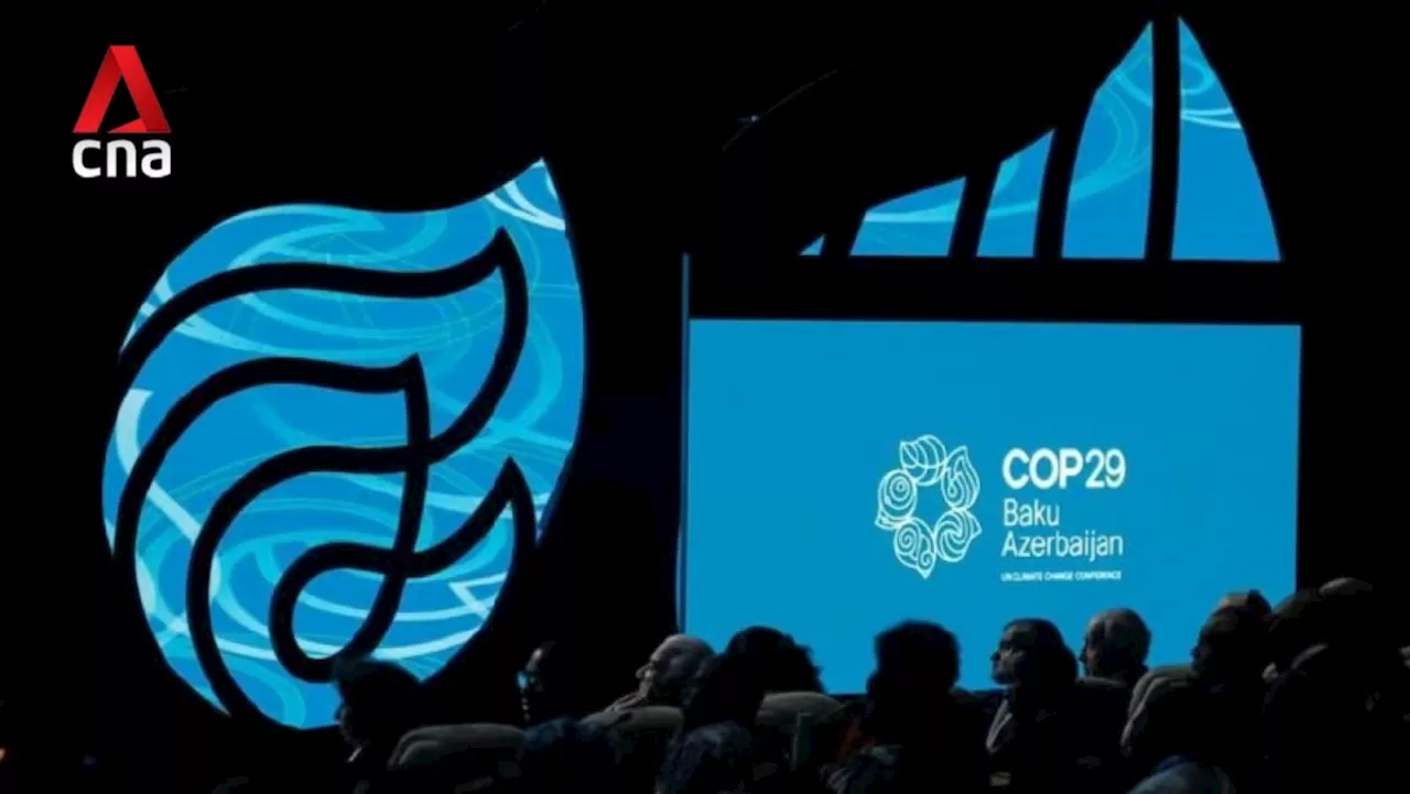 COP29: Two-week UN climate summit kicks off in Azerbaijan's capital of Baku