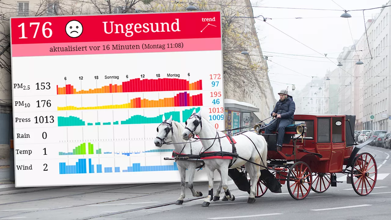  'Extrem schlechte Luft' – Feinstaub-Alarm im Raum Wien