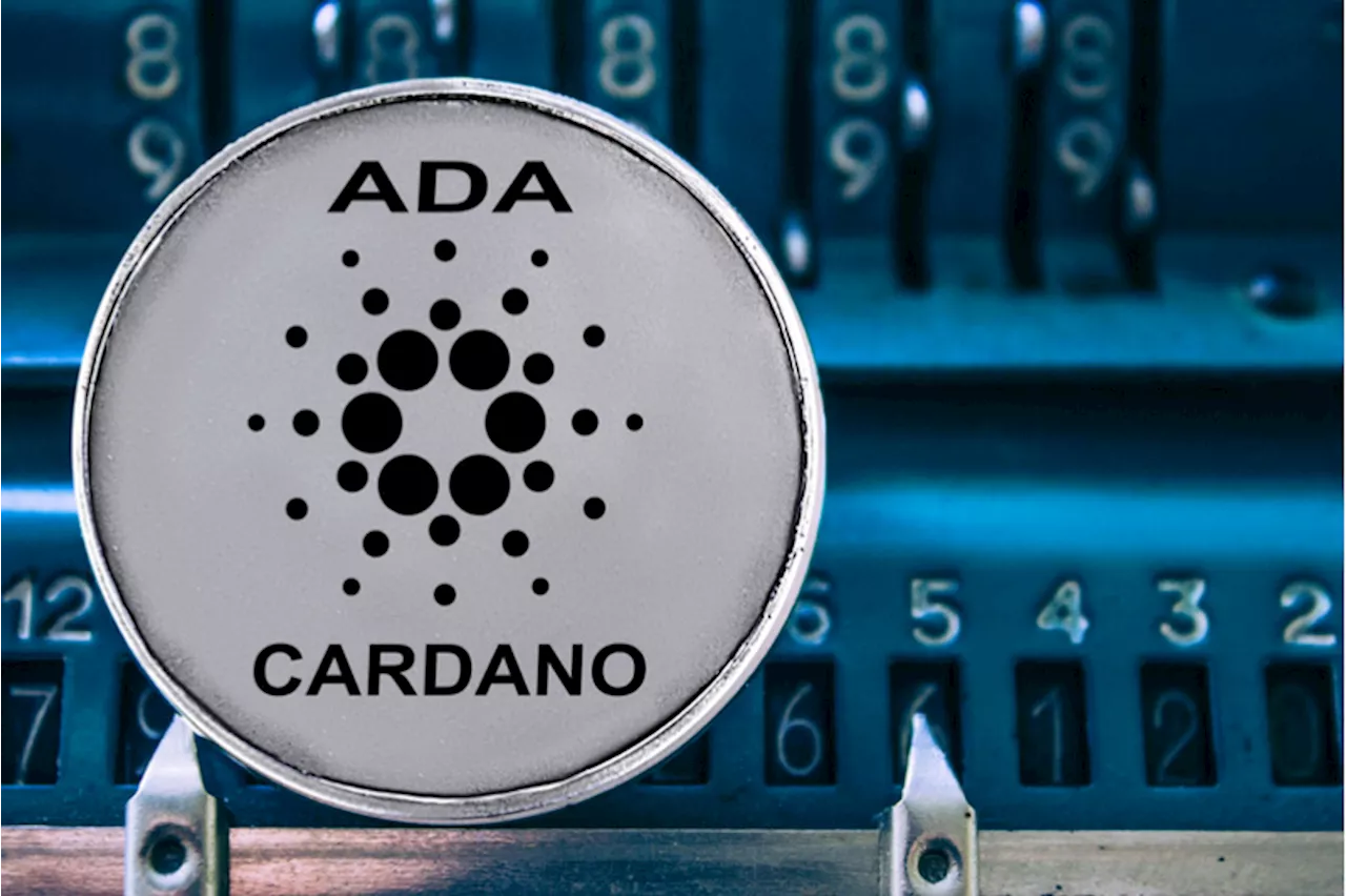 Cardano explose de 105% en 6 jours, Hoskinson veut murmurer à l’oreille de Trump