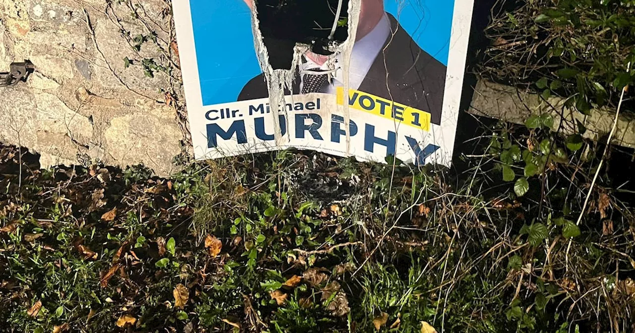 Fine Gael General Election candidate’s posters burnt and defaced in Tipperary