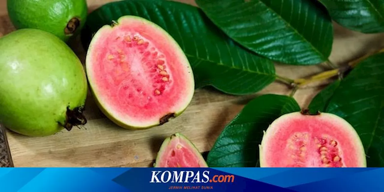 Rebusan Daun Jambu Biji, Ternyata Punya Banyak Manfaat bagi Kesehatan