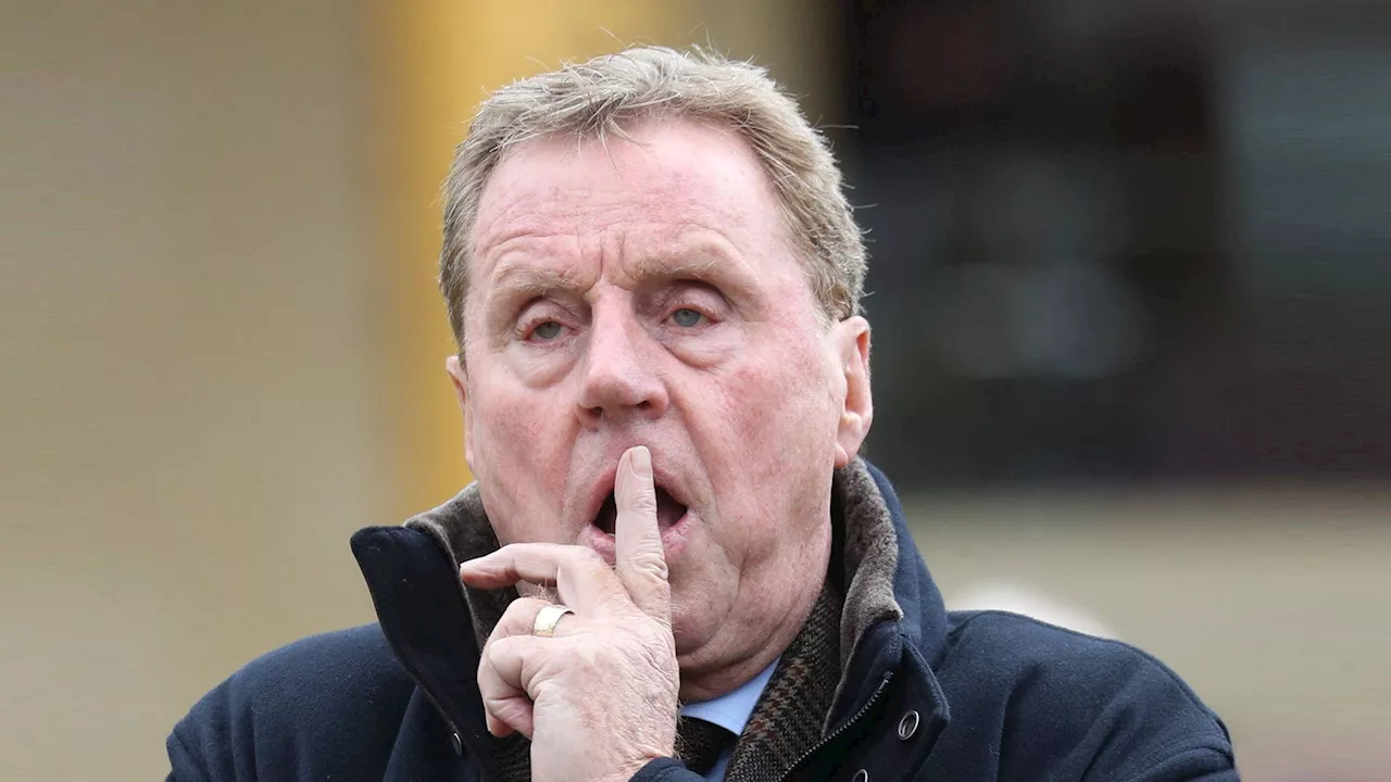 Harry Redknapp explains why he’s picked out this particular Newcastle United star