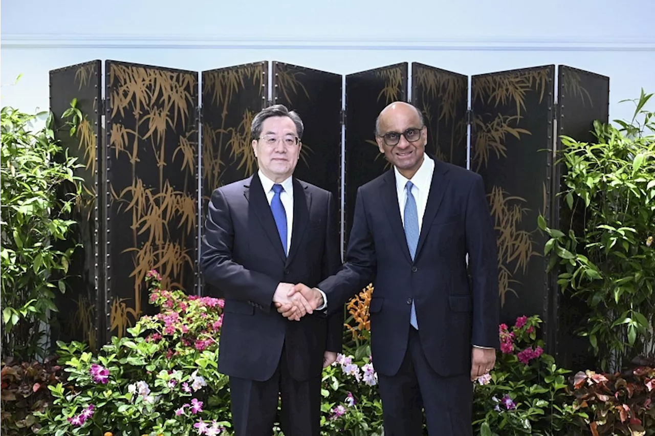 Chinese Vice-Premier Ding Xuexiang meets President Tharman, PM Wong