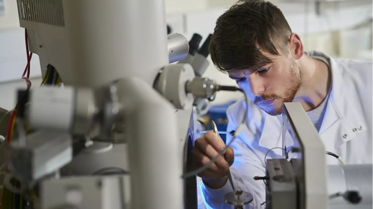 Miese Verwaltung, gute Zusammenarbeit: Berliner Universitätsbund steigt in der Gunst der Forschenden