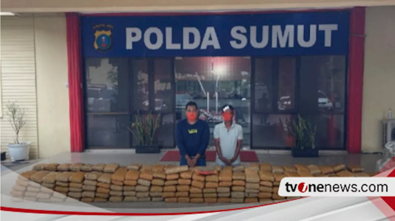 Polda Sumut Tangkap Terduga Pemilik 272 Kilogram Ganja dari Aceh